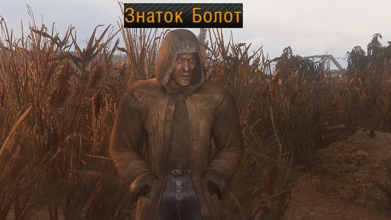 Истинная Легенда Зоны - STALKER Народная Солянка 2026 #71 смотреть онлайн