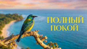 Пение птиц и шум океана - отдых для тех кому за 50