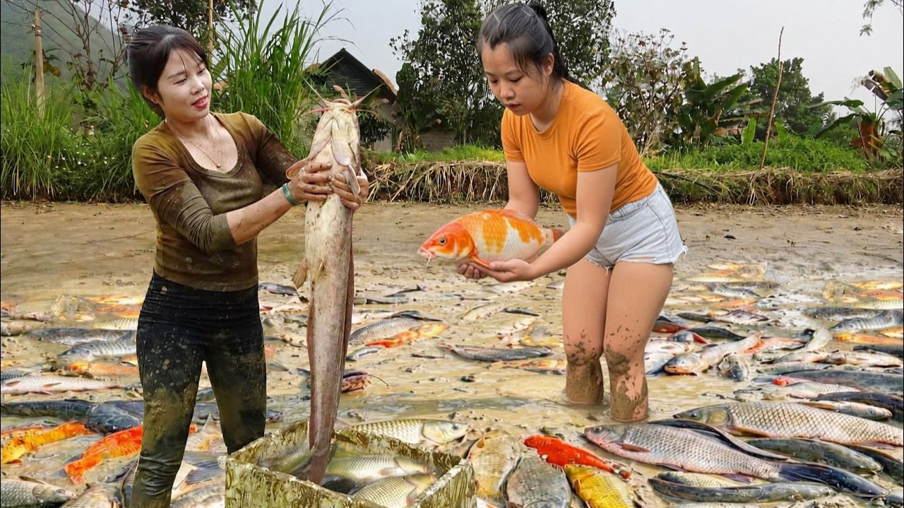 С помощью сети Nana Fishing мы наловили много крупной рыбы в мутном пруду.