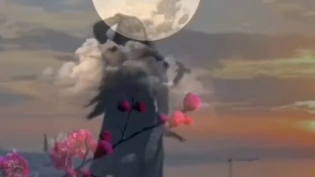 Видео. Диско....Инструментальная. смотреть онлайн