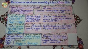 Астрокалендарь июля 2026: эффективные дни обработок против вредителей и болезней