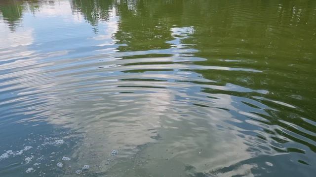 1000030782.mp4 смотреть онлайн