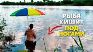 РЫБА КИШИТ ПОД НОГАМИ✌✌✌ФИДЕР НЕ НУЖЕН