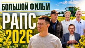 Озимый рапс: полный гид по технологии выращивания в 2026 году