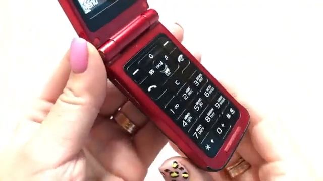 Samsung SGH-E420 La Fleur (2006 year) Phone review смотреть онлайн