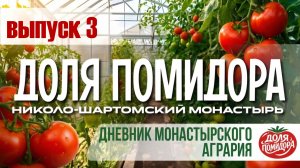 ДОЛЯ ПОМИДОРА.  3