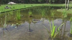 Восстановление старого дома в лесу новая мебель два новых пола и новая рыба для прудов