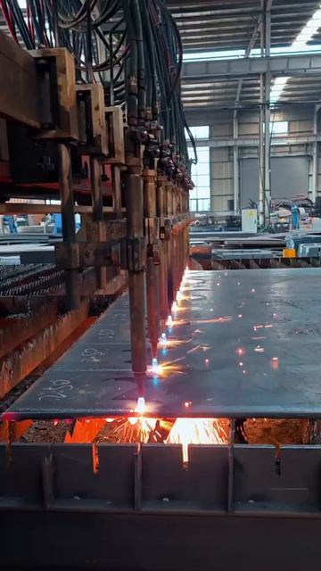 2209. Портальная многорезаковая машина газокислородной резки с ЧПУ