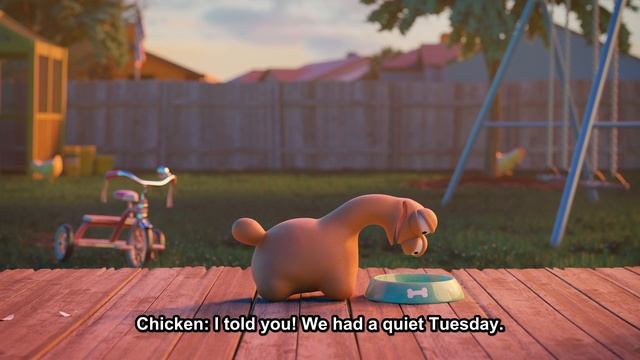 Chicken and dog started backyard chaos #funny #cartoon смотреть онлайн