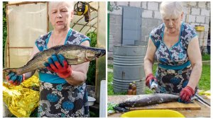 «Жизнь на пенсии». .. Процесс ловли больше люблю, чем этап обработки🐬🐬.