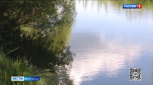 В Белгороде прошла общественная приемка работ по очистке реки Нижегородки