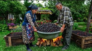 Сезон Чёрной Шелклвицы И Зимний Сироп Из Одного Ингредиента 🍇 🌿
