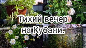 02-07-26/ Поливаем огород/ Вечерний обход сада/ Малина/  Нехитрый ужин/ Живём и работаем на Кубани/