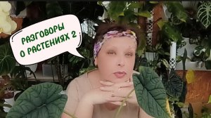 Разговоры о растениях - 2
