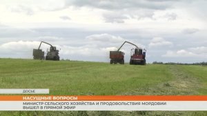 Министр сельского хозяйства и продовольствия Мордовии вышел в прямой эфир