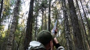 Изба стала очень уютной. Добыл пропитание
