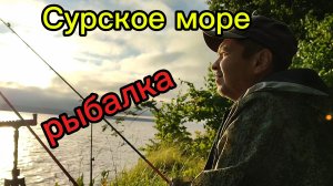 Ловим подлещика на Сурском водохранилище #рыбалка #лето #природа #пензенскаяобласть #лес
