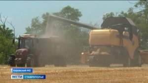 Жатва на Ставрополье набирает обороты