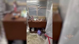 Раскрыт крупный синдикат наркопроизводителей и наркоторговцев, действующий по всей стране