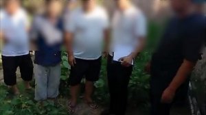 152 tup ko‘knori va 10 tup kannabis ekib parvarishlab kelayotgani aniqlandi