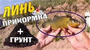 ПОЙМАЛ ЛИНЯ Рыбалка на поплавок Прикормка с грунтом