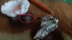 Самодельный стилус  в домашних условиях простите за это видео получилось не очень