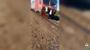 Зыковские зацеперы
