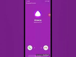 Мне звонит Алиса