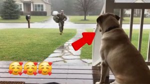 😊 😊 😊 What happens when soldier dads finally come home to their dogs? #dog