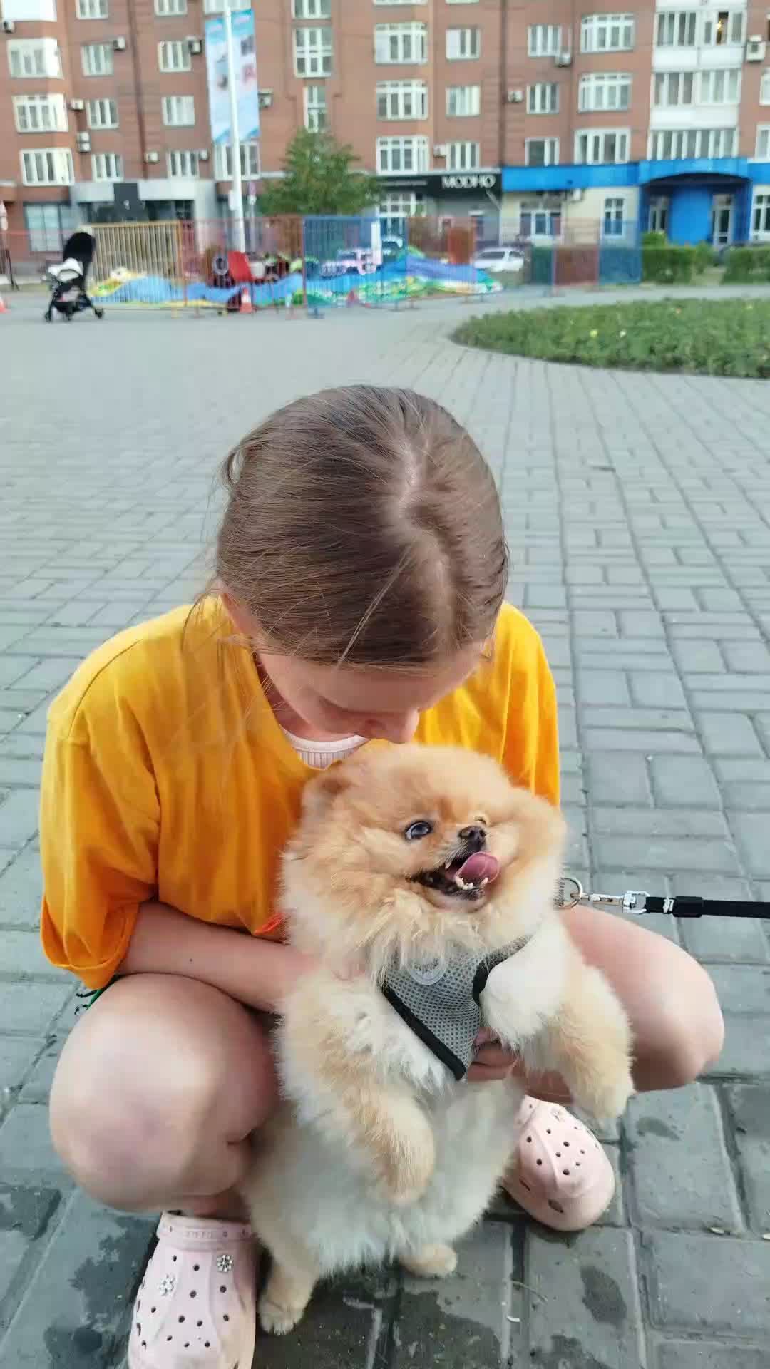 ути пути милота♥️❤️🍪🥹😍😘🥰 смотреть онлайн