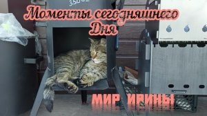 МОМЕНТЫ СЕГОДНЯШНЕГО ДНЯ●●●