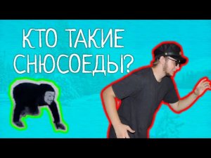 КТО ТАКИЕ СНЮСОЕДЫ?