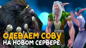 Сова на новом бесплатном сервере 3.3.5 World of Warcraft