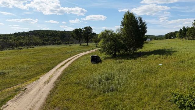 Дерево на пути смотреть онлайн