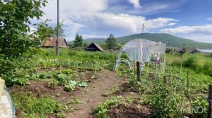 Сколько дел я переделала и мне не жирно
