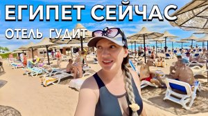 Египет 2025. ХАОС или ВОСТОРГ❗️ Как ЗДЕСЬ СЕЙЧАС? Cyrene Island Aqua Park Resort 4*. Шарм Эль Шейх