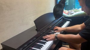 Alan Walker - Faded Piano