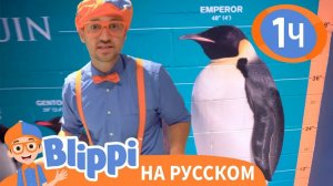 Блиппи в Океанариуме _ Изучай этот мир вместе с Блиппи _ Blippi Russian