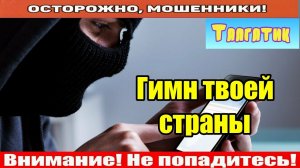 Мошенники звонят по телефону / Плохая свинка..