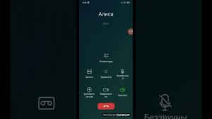 Мне звонит Rндск Алиса