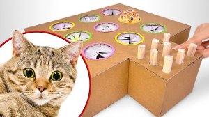 🍿 Как сделать кошачью игру «Поймай крота» из картона