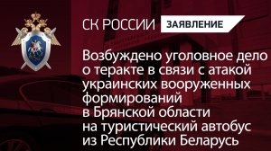 Возбуждено уголовное дело о теракте в связи с атакой ВФУ на автобус из Республики Беларусь