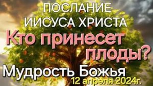«Кто принесёт плоды», «Мудрость Божья» — слово Иисуса Христа