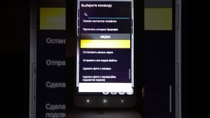 Программа для слежки за Андроидом и Айфоном. Часть2
