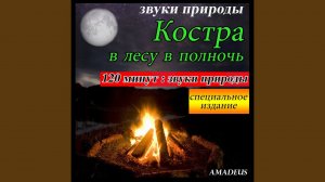 Костра В Лесу В Полночь: Звуки Природы (Специальное Издание)