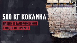 В порту Санкт-Петербурга обнаружили полтонны кокаина в контейнере с тунцом