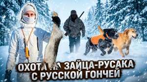 Зимняя охота на зайца-русака с русской гончей / Winter hare hunting with a Russian hound