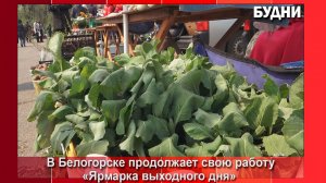 Ярмарка выходного дня продолжает работу