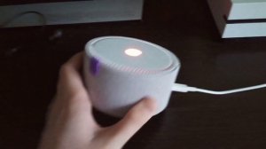МОЕ ЗНАКОМСТВО С ЯНДЕКС СТАНЦИЕЙ МИНИ И ПЕРВЫЕ ВПЕЧАТЛЕНИЯ О НЕЙ 😃