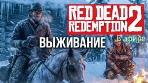 Red Dead Redemption 2, прохождение, стрим 5!